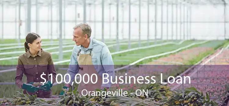 $100,000 Business Loan Orangeville - ON
