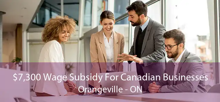 $7,300 Wage Subsidy For Canadian Businesses Orangeville - ON