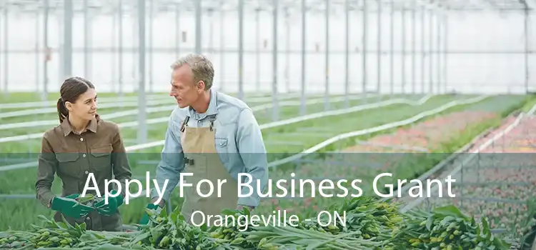 Apply For Business Grant Orangeville - ON